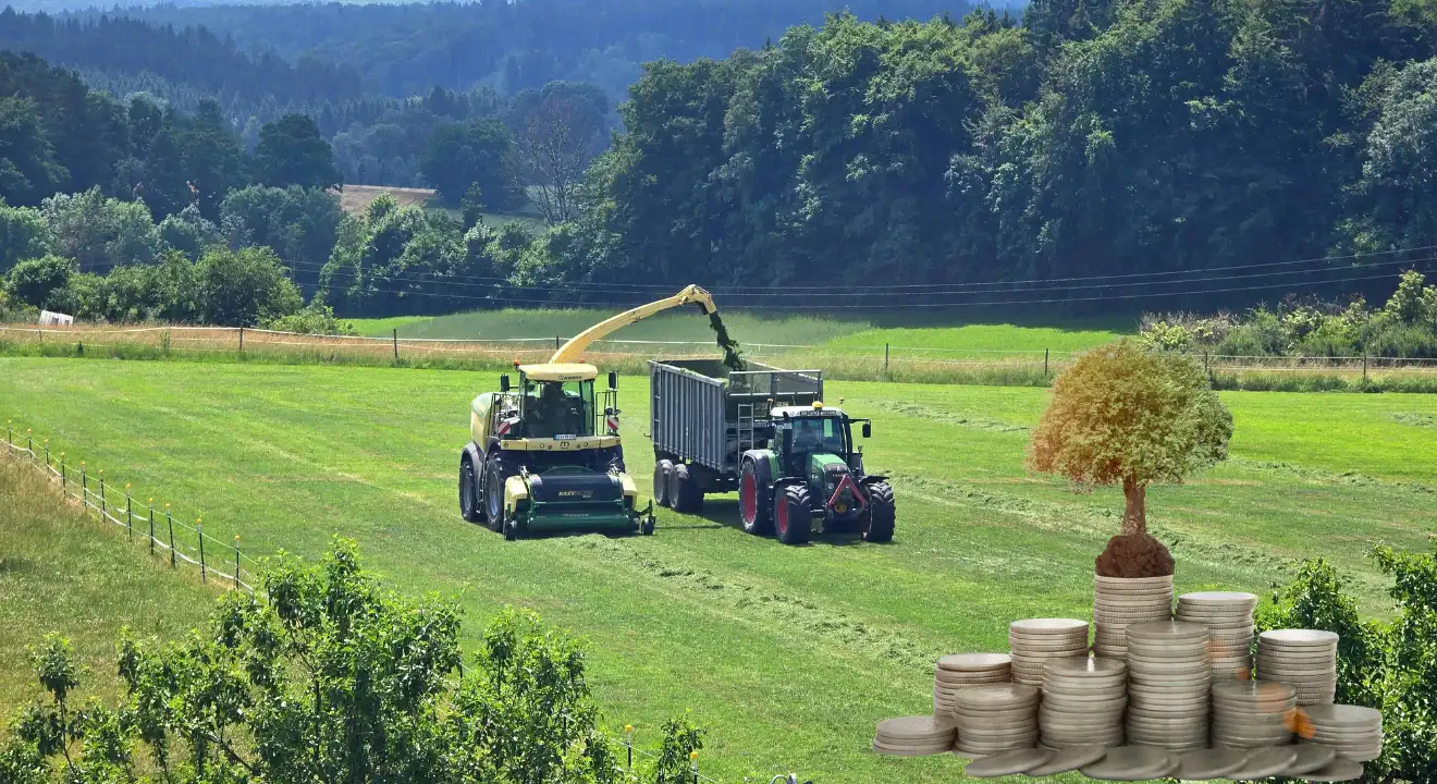 Agriculture Investment