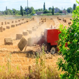 Agricultural Enterprises