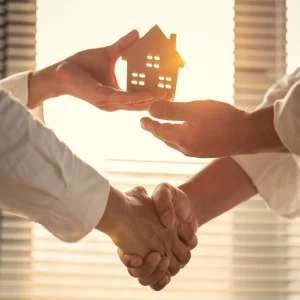 Real Estate Investment