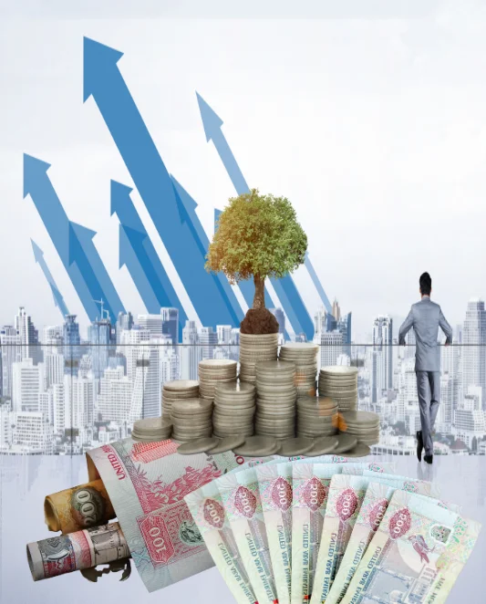 Top investment company in Dubai UAE